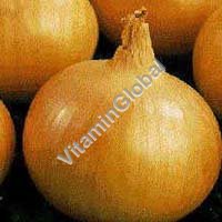 Certified Organic Onion Seed 0.5g "Natural Green" - Click Image to Close