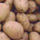 Organic Potato 1kg "Adama"