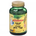 Olive Leaf Extract (SFP) 60 caps - Solgar