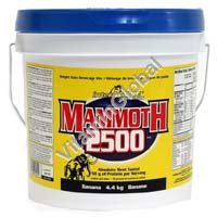 Weight Gainer "Mammoth 2500" Strawberry 4.4kg - InterIctive Nutrition - Click Image to Close