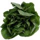 Certified Organic Spinach Seeds 0.25g "Natural Green"