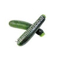 Certified Organic Zucchini Seeds 2g "Natural Green" - Click Image to Close