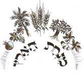 Minhat HaArets - Organic Flour