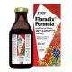 Floradix Liquid Iron Formula 250 ml - Salus