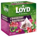 Cranberry and Raspberry Fruit Tea 20 pyramid tea bags - Loyd