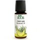 Rosemary - Pure Essential Oil 10 ml (0.34 fl. oz) - Roots Botanical