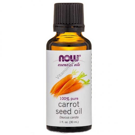 Carrot Seed Essential Oil 30ml (1 fl oz) - Now Essential Oils