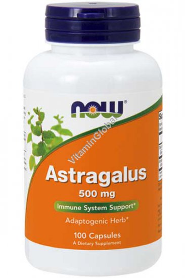 Astragalus Immune System Support 500mg 100 capsules - Now Foods