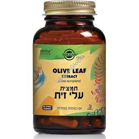 Olive Leaf Extract (SFP) 60 capsules - Solgar