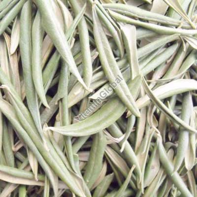 Dried Olive Leaf 50g - Eldar
