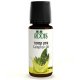 Camphor - Pure Essential Oil 10 ml (0.34 fl. oz) - Roots Botanical