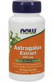 Astragalus Extract Immune System Support 500mg 90 Veg Capsules - Now Foods