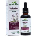 Valerian Tincture, Alcohol-Based Herbal Extract, Kosher Badatz 50 ml (1.69 oz) - GreenLife