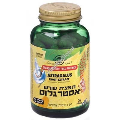 Astragalus Root Extract 60 Vcaps - Solgar