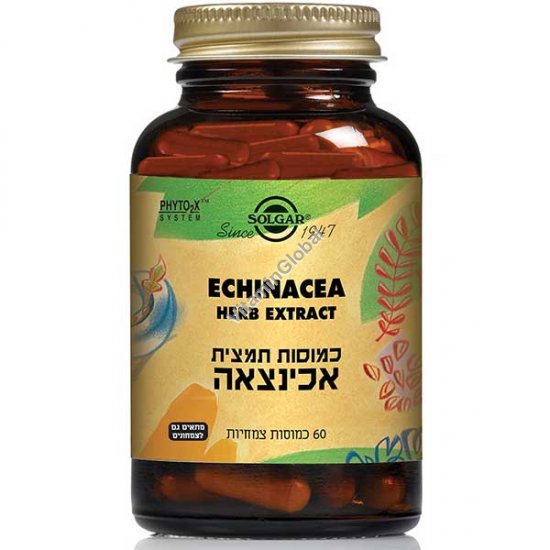 Echinacea Herb Extract (SFP) 60 capsules - Solgar