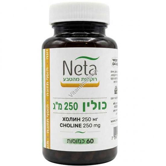 Choline 250 mg , 100 Capsules - Neta