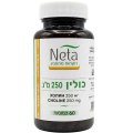 Choline 250 mg , 100 Capsules - Neta