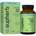 Magnesium MAX 550 mg, Kosher Badatz Certified, 60 capsules - SupHerb