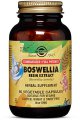 Standardized Boswellia Extract 60 capsules - Solgar