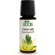 Ravensara - Pure Essential Oil 10 ml (0.34 fl. oz) - Roots Botanical