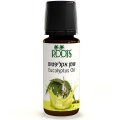 Eucalyptus - Pure Essential Oil 10 ml (0.34 fl. oz) - Roots Botanical