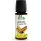 Cinnamon - Pure Essential Oil 10 ml (0.34 fl. oz) - Roots Botanical