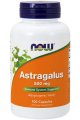 Astragalus Immune System Support 500mg 100 capsules - Now Foods