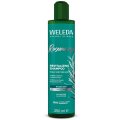 Rosemary Revitalizing Shampoo, 250ml (8.45 fl oz) - Weleda