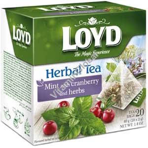 Mint with Cranderry and Herbs 20 pyramid tea bags - Loyd