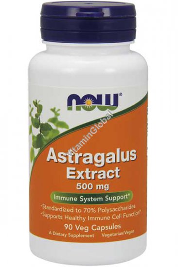 Astragalus Extract Immune System Support 500mg 90 Veg Capsules - Now Foods