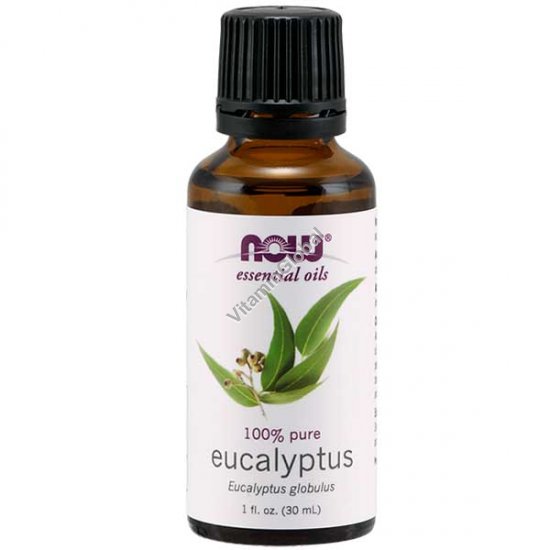 Eucalyptus Pure Essential Oil 30 ml - Now Essential Oils
