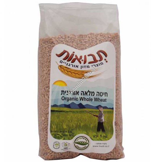 Organic Whole Wheat 1kg - Tvuot