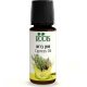 Cypress - Pure Essential Oil 10 ml (0.34 fl. oz) - Roots Botanical