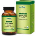 Astragalus Root Extract Immune System Support 500 mg 60 Capsules - SupHerb