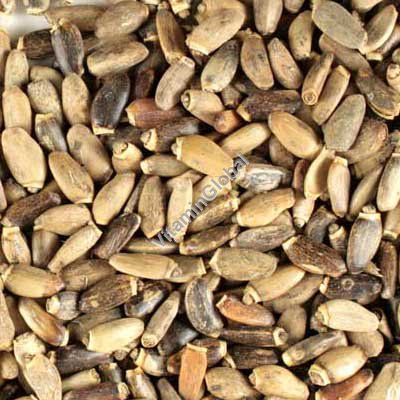 Milk Thistle Seeds 500g - Bio Break