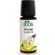 Vanilla - Pure Essential Oil 10 ml (0.34 fl. oz) - Roots Botanical
