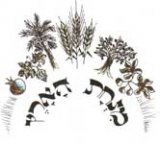 Minhat Haaretz - Organic Flour