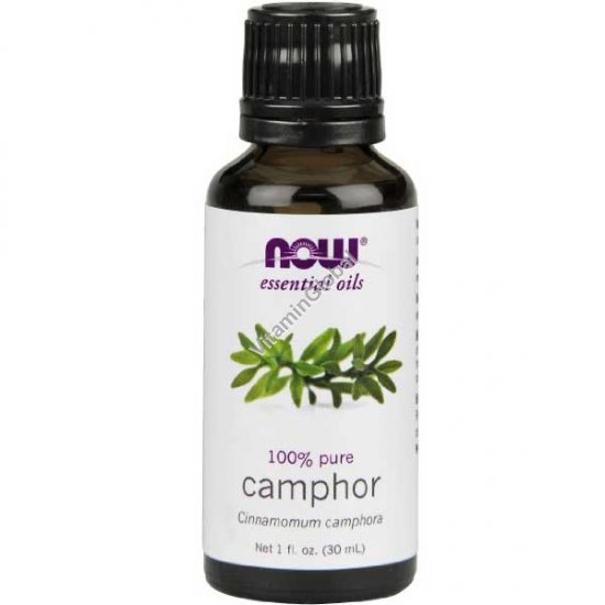 Camphor Essential Oil 30ml (1 fl oz) - Now Essential Oils