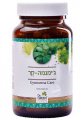 Gymnema - Supporting Natural Carbohydrate Metabolism, Kosher L'Mehadrin, 60 capsules - Dr. Green